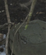 183.jpg